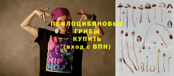 мет Пересвет